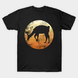 Alpaca Sunrise T-Shirt